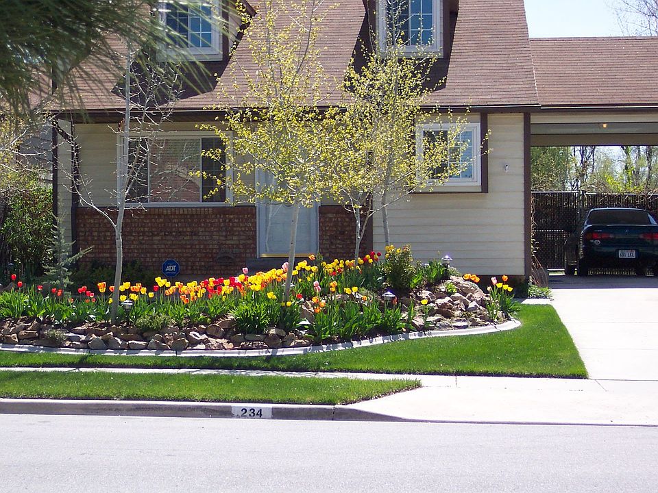 Front Yard In Spring