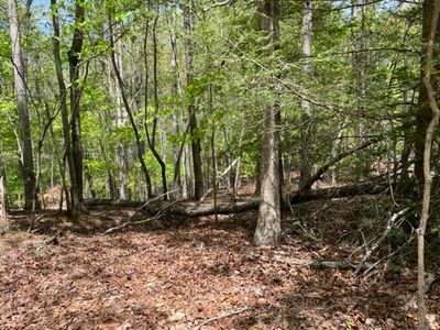 LOT 1072 Gateway Dr, Ellijay, GA, 30540