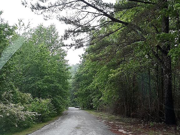 Reedy Branch Rd towards Hwy 