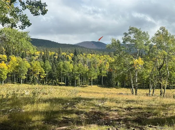 Lot 2843 Wendt Lane, Fort Garland, CO 81133