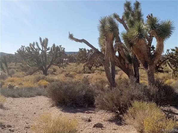 26415 N Pear Ave, Meadview, AZ 86444