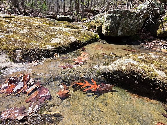 5th image of Mountain Springs Rd #1