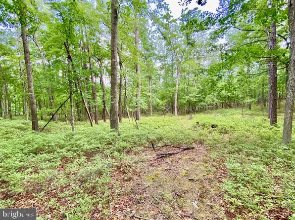Lost River Ridge Cir, Wardensville, WV 26851