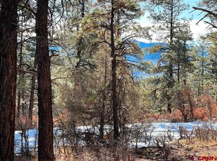 1155 Doc Adams Rd, Pagosa Springs, CO 81147
