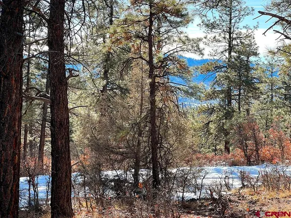 1155 Doc Adams Road, Pagosa Springs, CO 81147