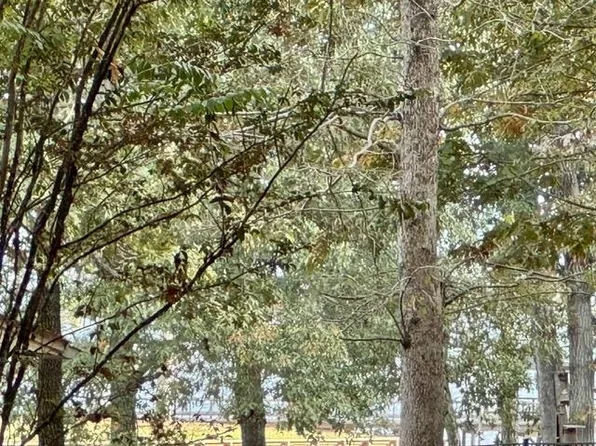 1319 Lakeshore Dr, Hemphill, TX 75948