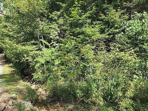 4th image of 0 Jones Cove Rd #1