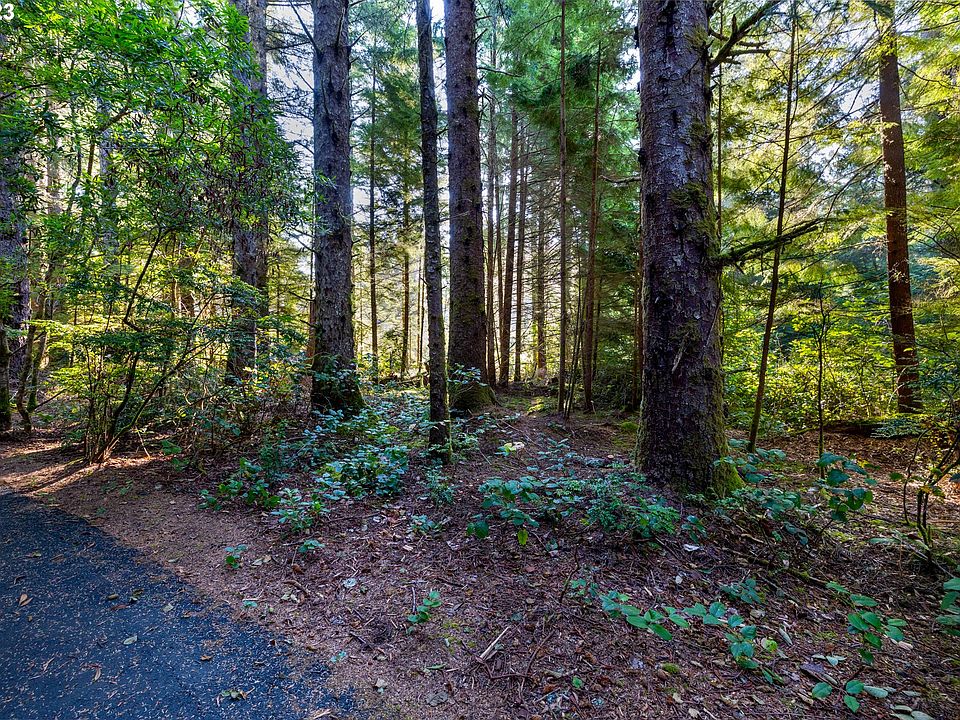 1st image of 117 SW Forest Park