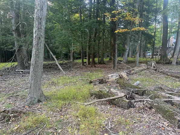 254 Grand Trunk Rd, Flinton, PA 16640