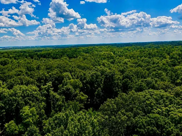 0 Walnut St, Arkadelphia, AR 71923