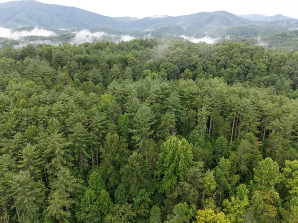 410 Seay Hollow Rd, Del Rio, TN 37727