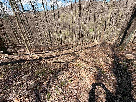 4th image of Behlar Rd