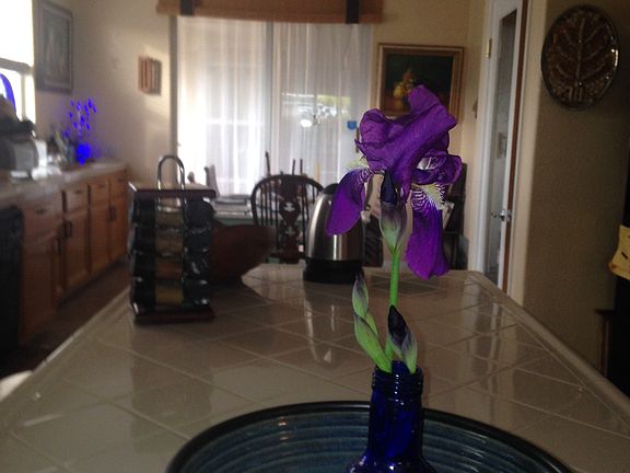 spacious kitchen and dining nook