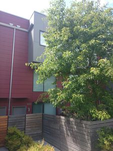 8359 29th Ave NW, Seattle, WA, 98117