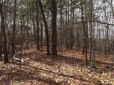 4th image of Hiram-acworth Hwy