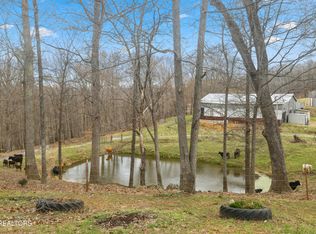 351 Breanna Ln, Washburn, TN 37888