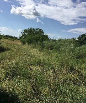 4th image of 70 ACRES Cr 243