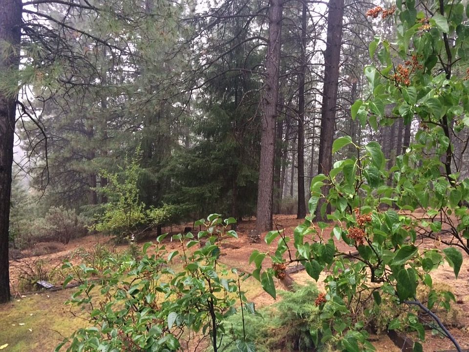 2nd image of 6206 Homestead Dr