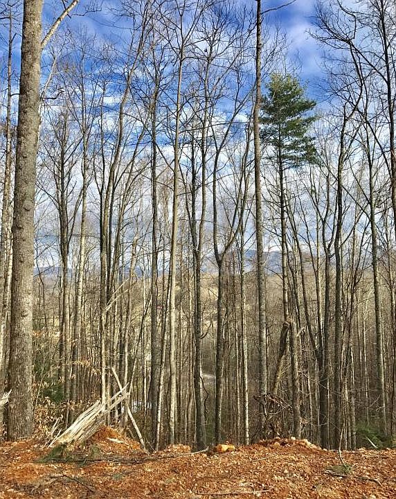 2nd image of T B D Escape Mountain Rd