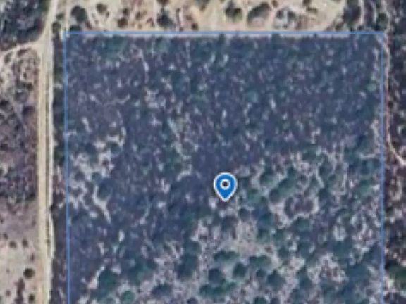 4th image of 2203 Hyde Park Ln #13