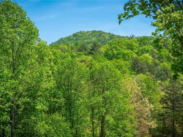LOT 4 4a Waterstone Way, Mineral Bluff, GA 30559