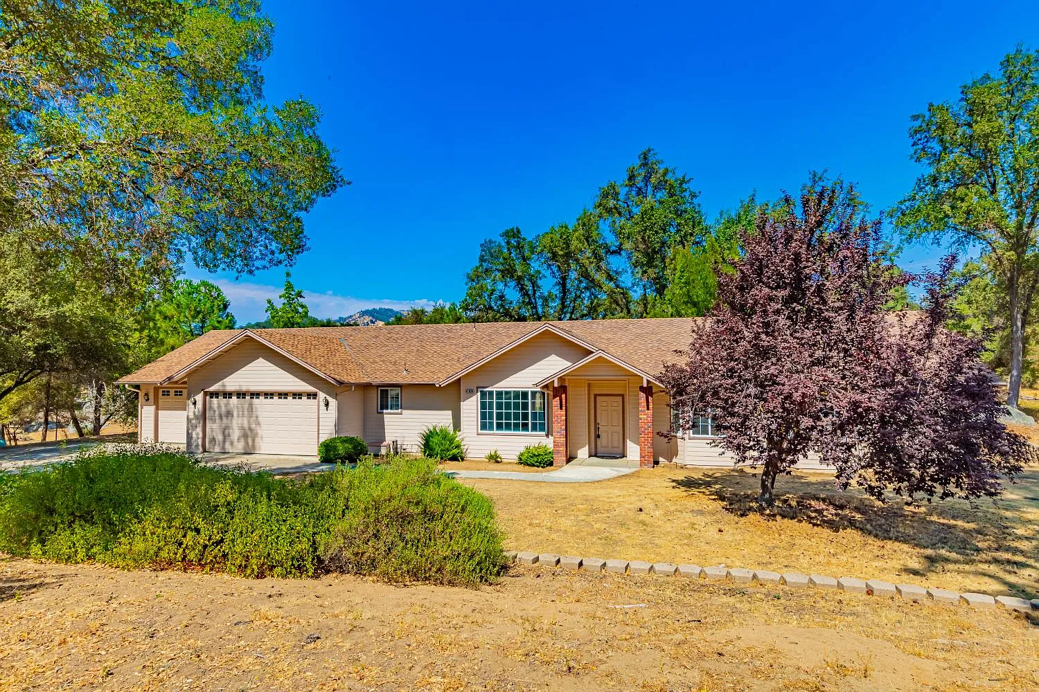 41028 Shandee Ln photo 1
