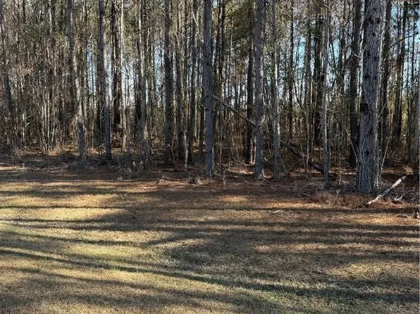 0 Settlers Bluff Rd #31, Folkston, GA 31537