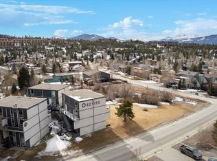 290 Straight Creek Dr #107, Dillon, CO 80435