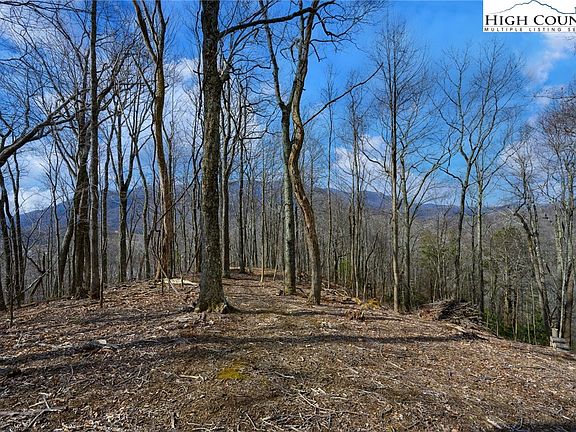 2nd image of TBD Raspberry Lane