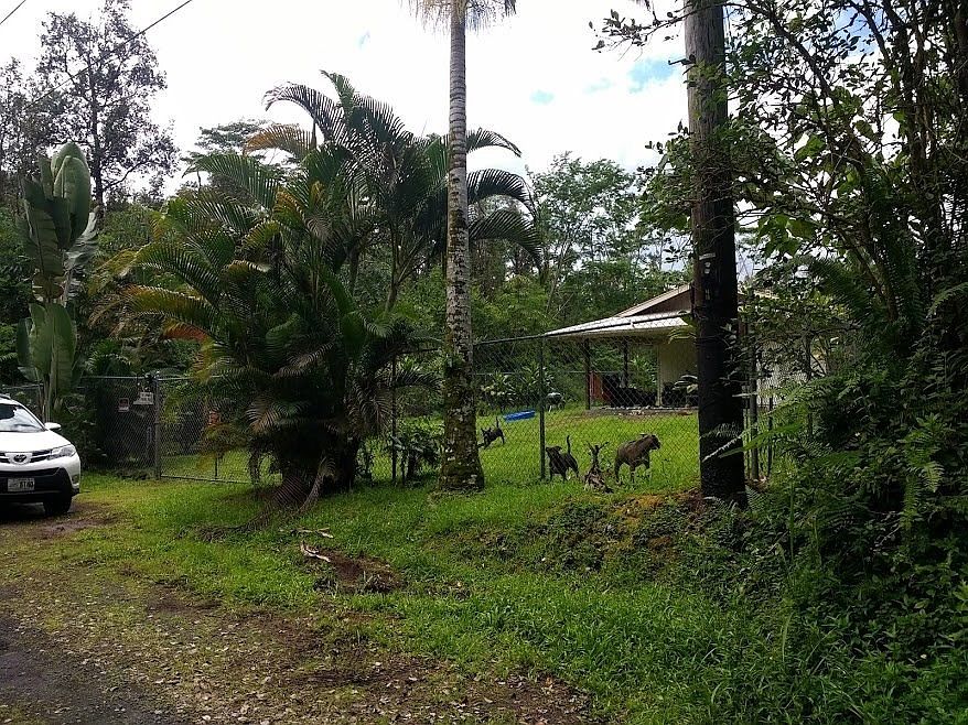 2nd image of Oahu Rd