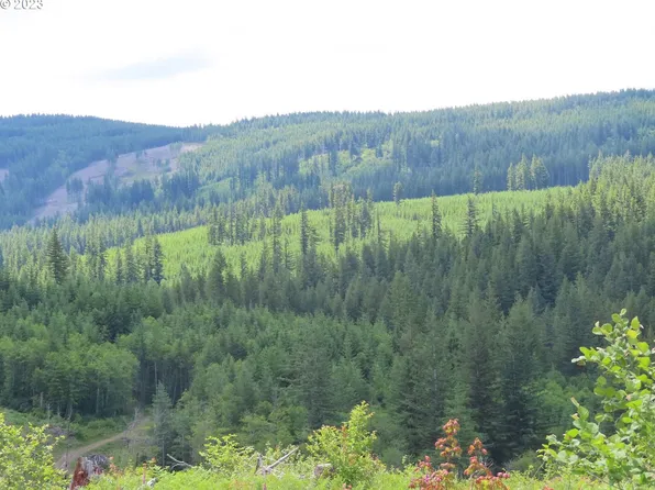 L 1100 Rd #2, Yacolt, WA 98675