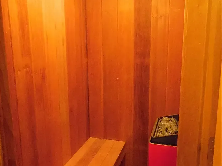 Sauna room within master bathroom