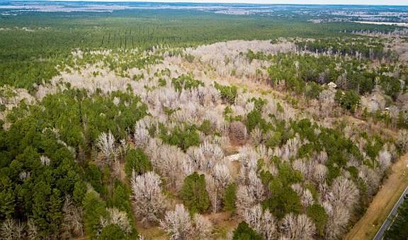 2nd image of 1317 Highway 160