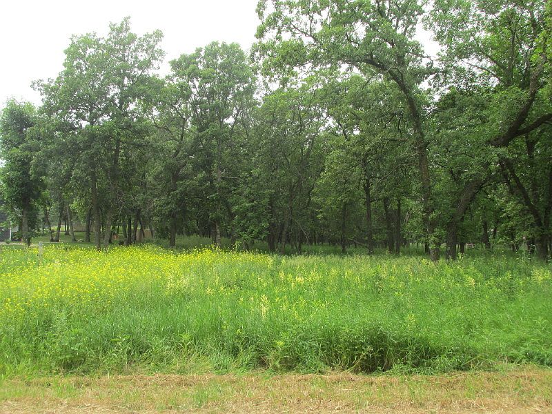 2nd image of Wood View Acres Block 1