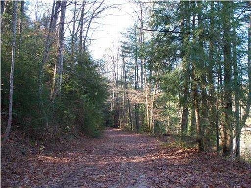 2nd image of Bear Den Trail