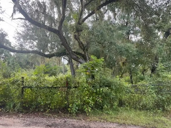 104 Floradandy Rd Lot 28, Hawthorne, FL 32640