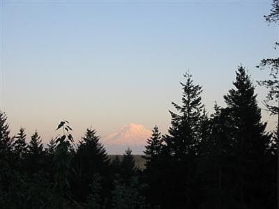Views of Mt. Rainier