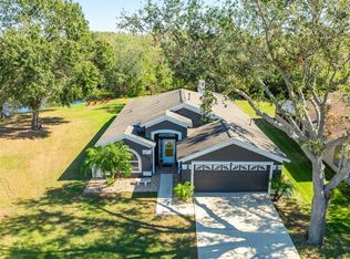 2417 Cattleman Dr, Brandon, FL 33511