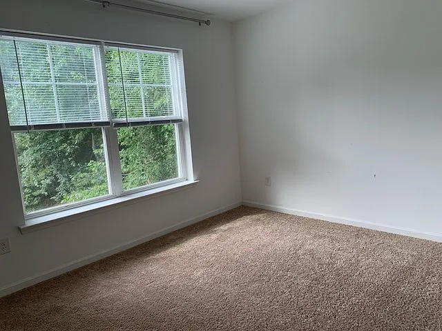 32041 Woods Ct — Photo 20