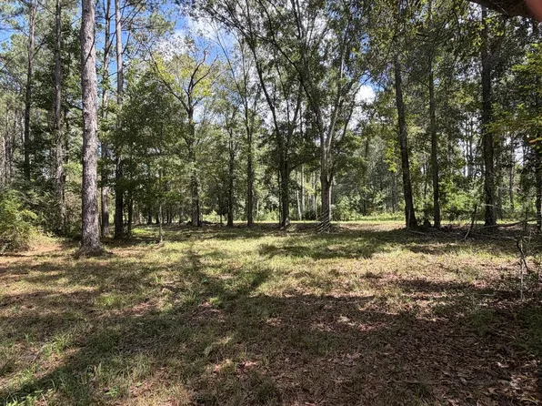 0 Rutledge Loop Rd, Luverne, AL 36049