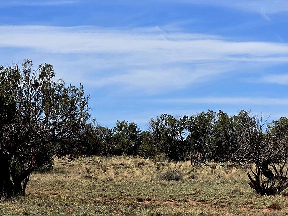 4th image of 5438 County Line Rd