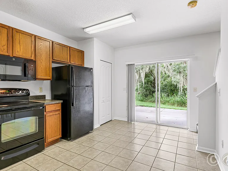 15807 Fishhawk Falls Dr — Photo 6
