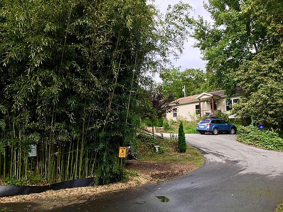 Bamboo grove between house and street gives privacy.