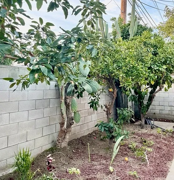 3313 Adriatic Ave — Photo 16
