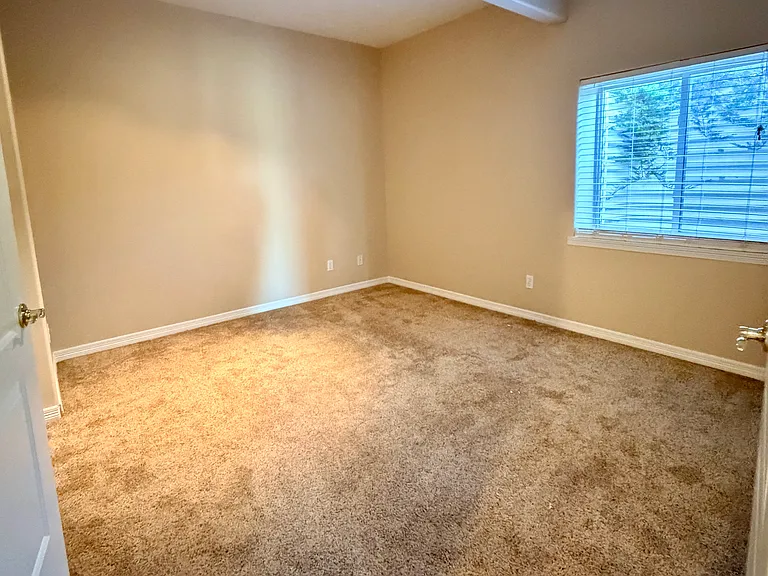 18515 Peaceful Pines Rd — Photo 28
