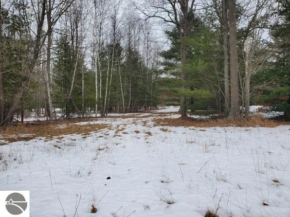 0 Rodnick Rd, Prescott, MI 48756