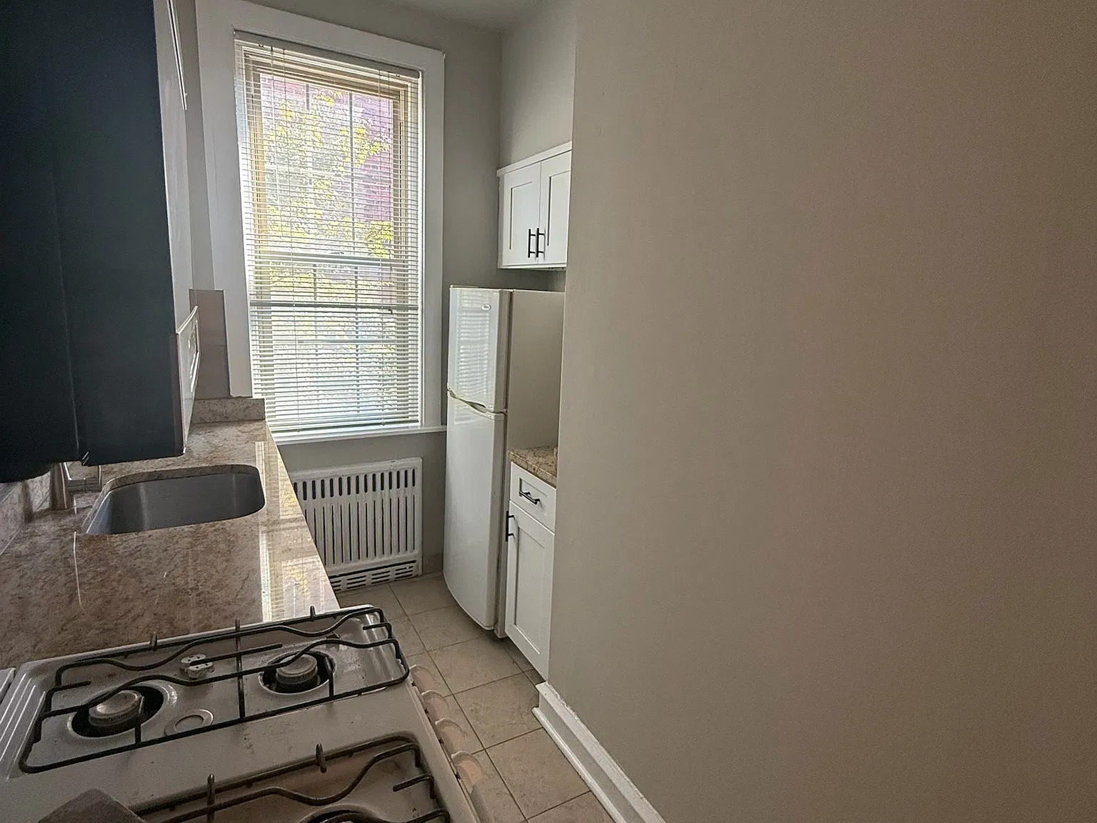 1 bed, 550 sqft, $1,525 — Photo 4