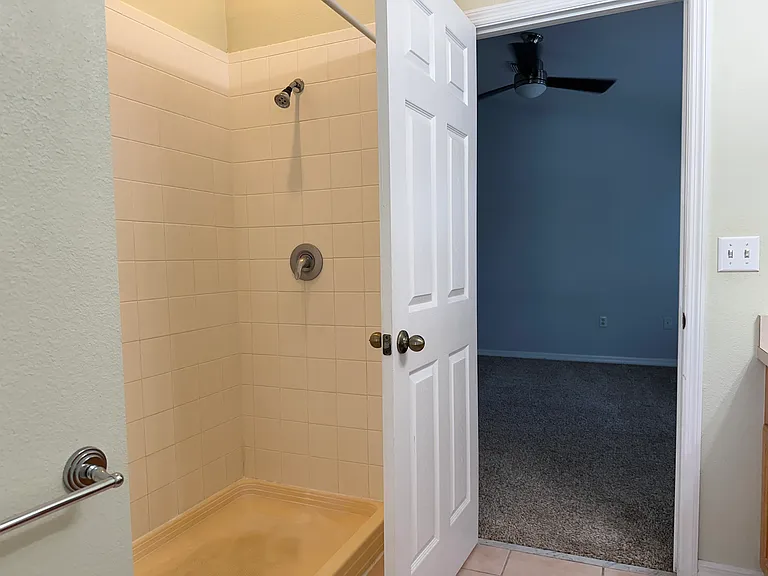 Primary Shower