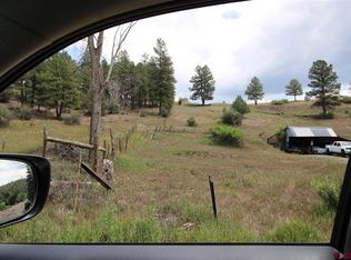 296 N 2nd St, Pagosa Springs, CO 81147