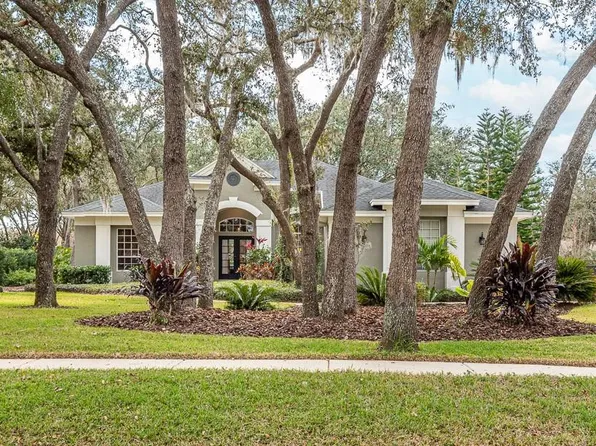 6017 HAMMOCK HILL AVENUE, LITHIA, FL 33547
